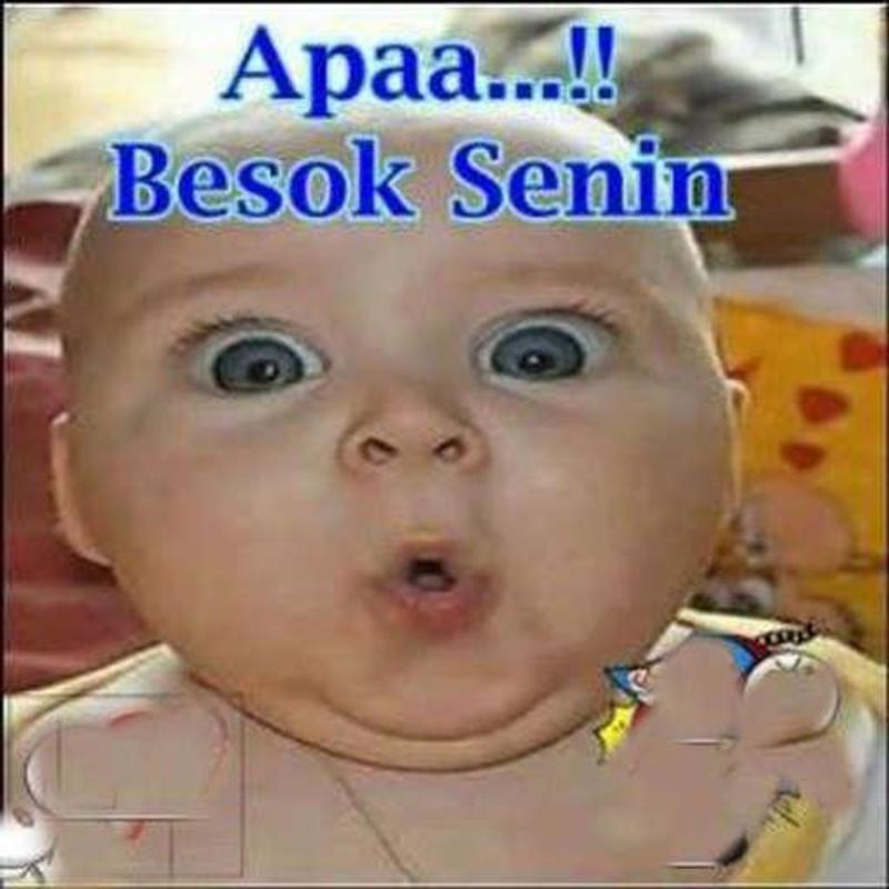 DP Hari Senin APK Download - Free undefined APP for Android  APKPure 