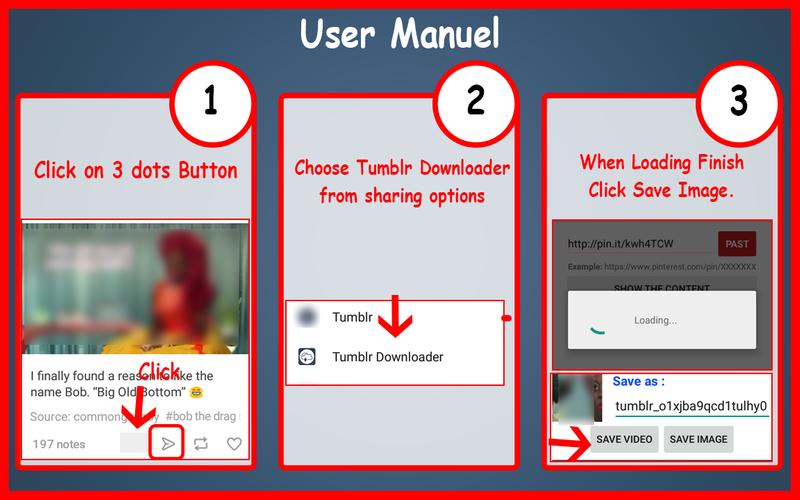 Download tumblr Video | Online, Easy & FREE! how to download video from tumblr app