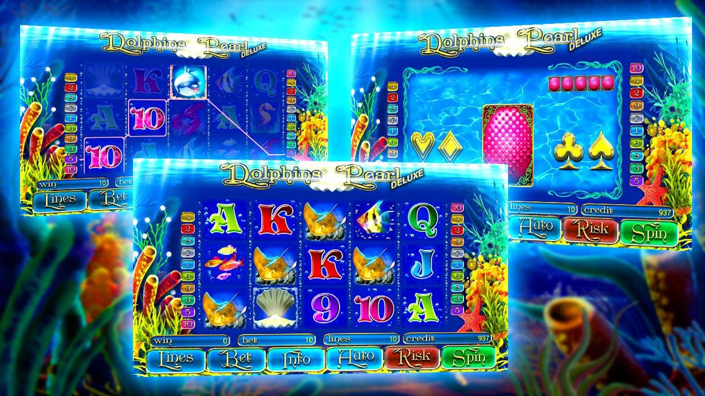 dolphins pearl deluxe описание игрового автомата dolphins pearl deluxe описание игрового автомата