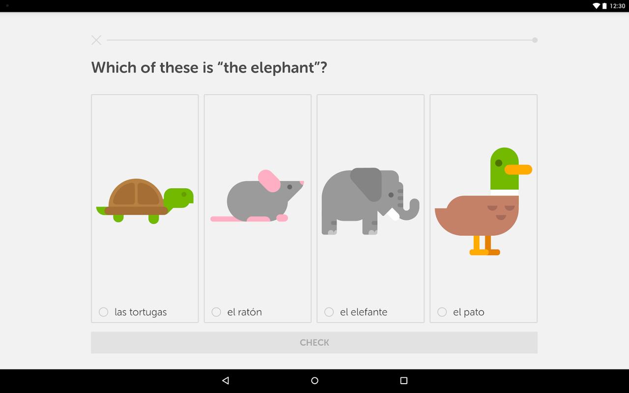 duolingo languages list