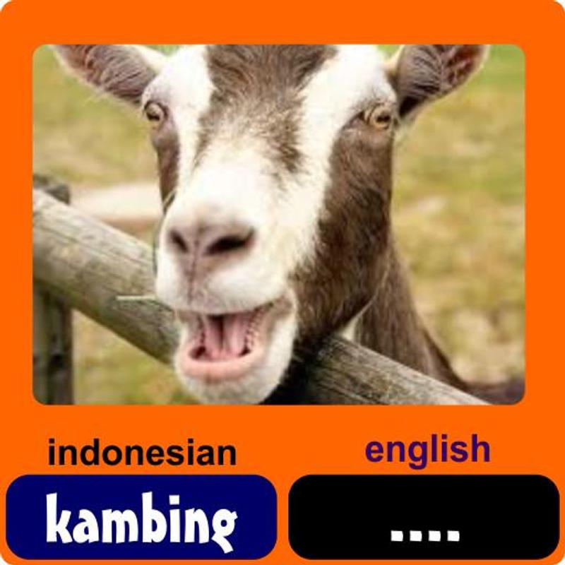Aplikasi Desain Rumah Bahasa Indonesia - Contoh U