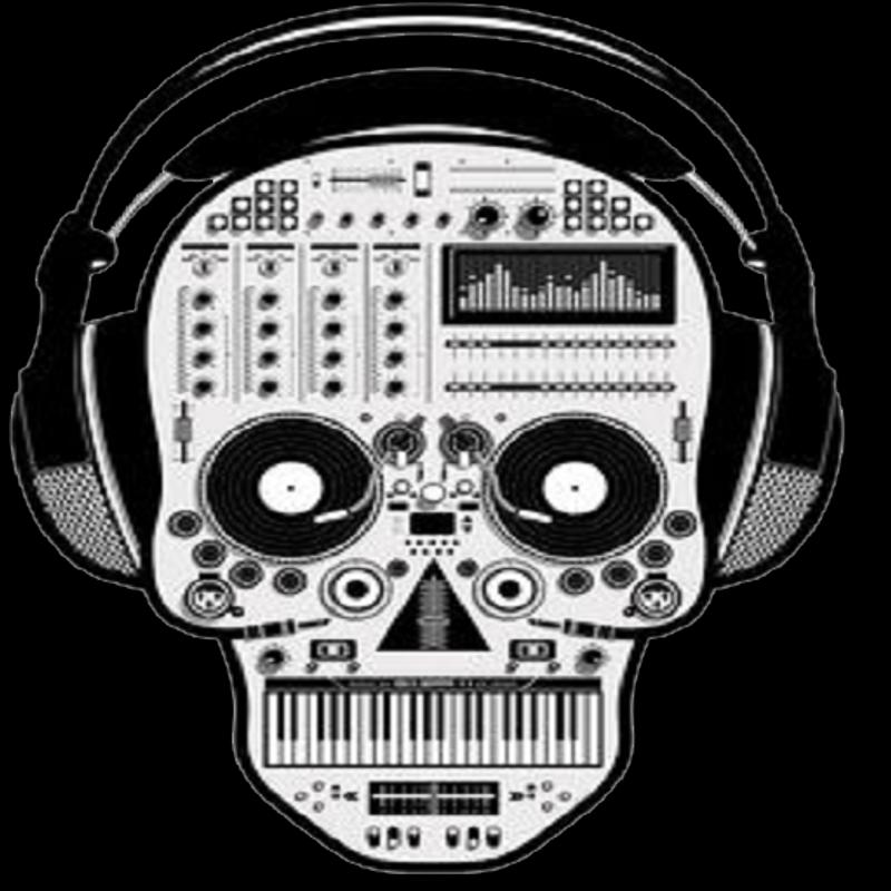 mp3 music download free skull