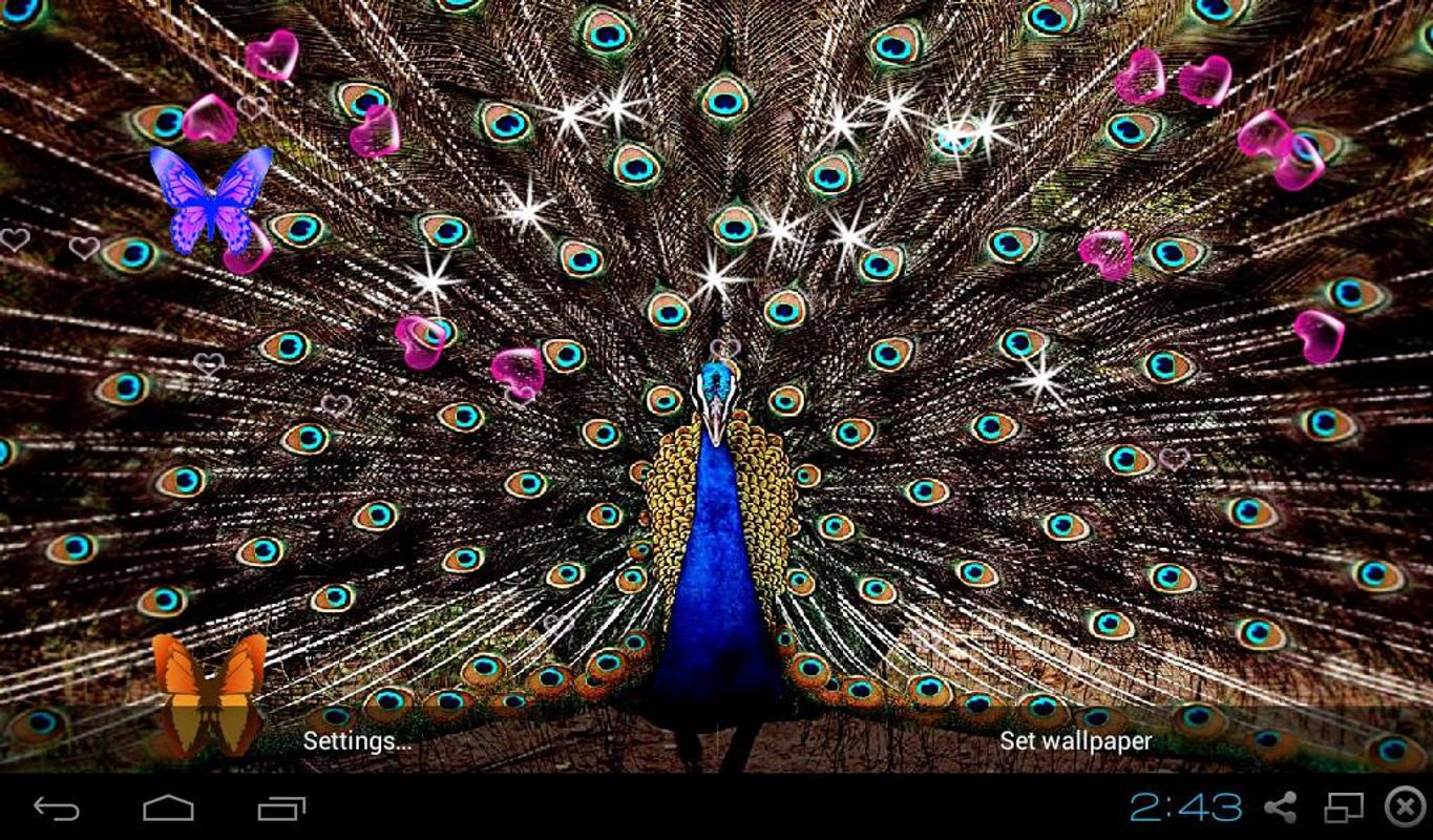  3D  Peacocks Live Wallpapers  APK Download Free 