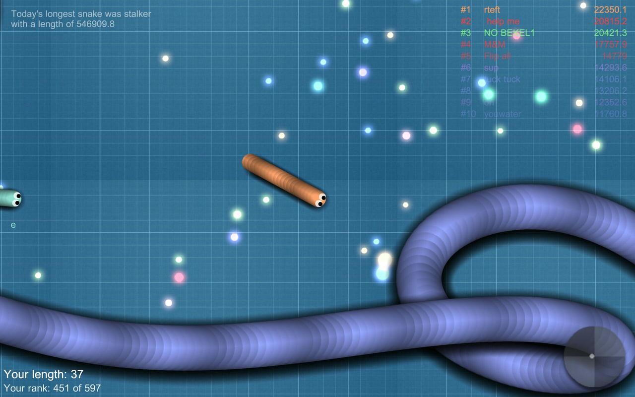 Snake Snake