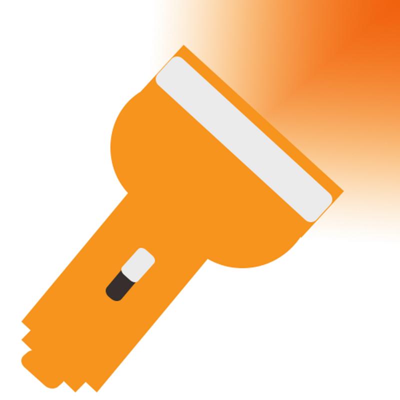 Probe Shiny 8000lm Flashlight Torch