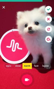 musical.ly apk screenshot