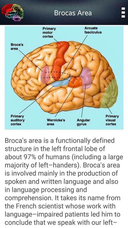 HUMAN BRAIN (PARTS-FUNCTIONS) APK Download - Free Education APP for