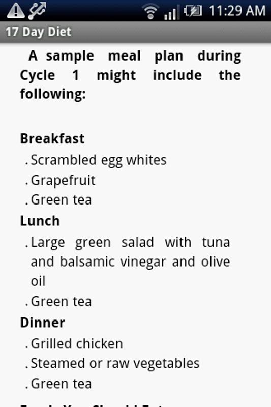 17 Day Diet Meal Plan Examples