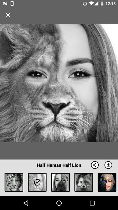 Picaso Editor Picaso Editor