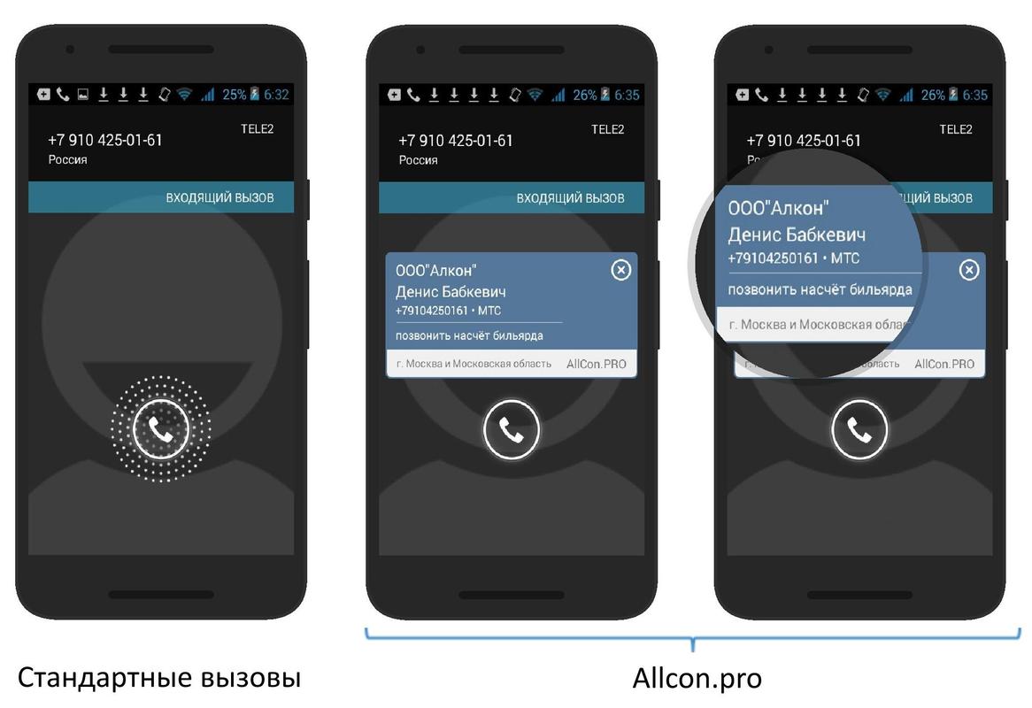 download language loss and language processing