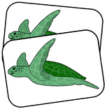 Kids Memory - Sea Life