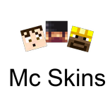 Skins for Minecraft Pocket Ed