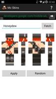 Skins for Minecraft Pocket Ed poster