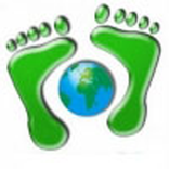 Step counter(pedometer) widget