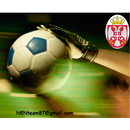 VirtualBet Srbija APK