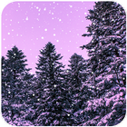 Snow Live Wallpapers icône
