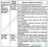 Подготовка к ЕГЭ русский ч1 اسکرین شاٹ 2