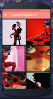 Cool Ladybug Wallpapers HD poster