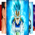 Vegeta Wallpaper HD icon