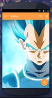 Vegeta Wallpaper HD screenshot 1