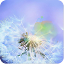 dandelion fly to the sun APK