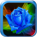 Galaxy S4 Rain Roses APK