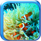 آیکون‌ 5D Marine Aquarium Live WP