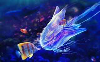 5D Marine Aquarium Live WP Poster