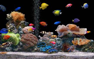 برنامه‌نما 5D Marine Aquarium Live WP عکس از صفحه