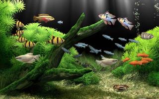 3 Schermata 5D Marine Aquarium Live WP