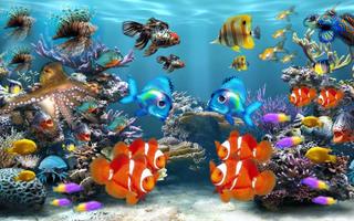 5D Marine Aquarium Theme capture d'écran 2