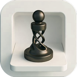 Real Chess 3D ikona