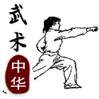 中华武术之咏春拳 アイコン