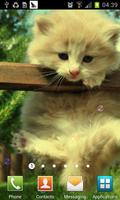 Dream Cat LiveWallpaper تصوير الشاشة 1