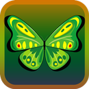 ButterflyLink APK