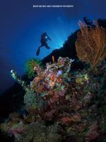 برنامه‌نما 海底摄影系列 عکس از صفحه