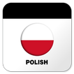 Польский Английский Словарь