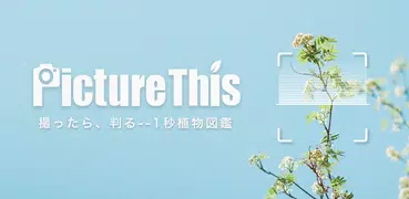 PictureThis：撮ったら、判る--1秒植物図鑑