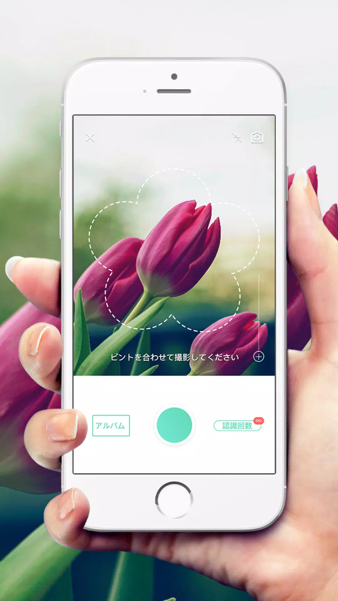 Picturethis Apk For Android Download Picturethis Apk For Android Download