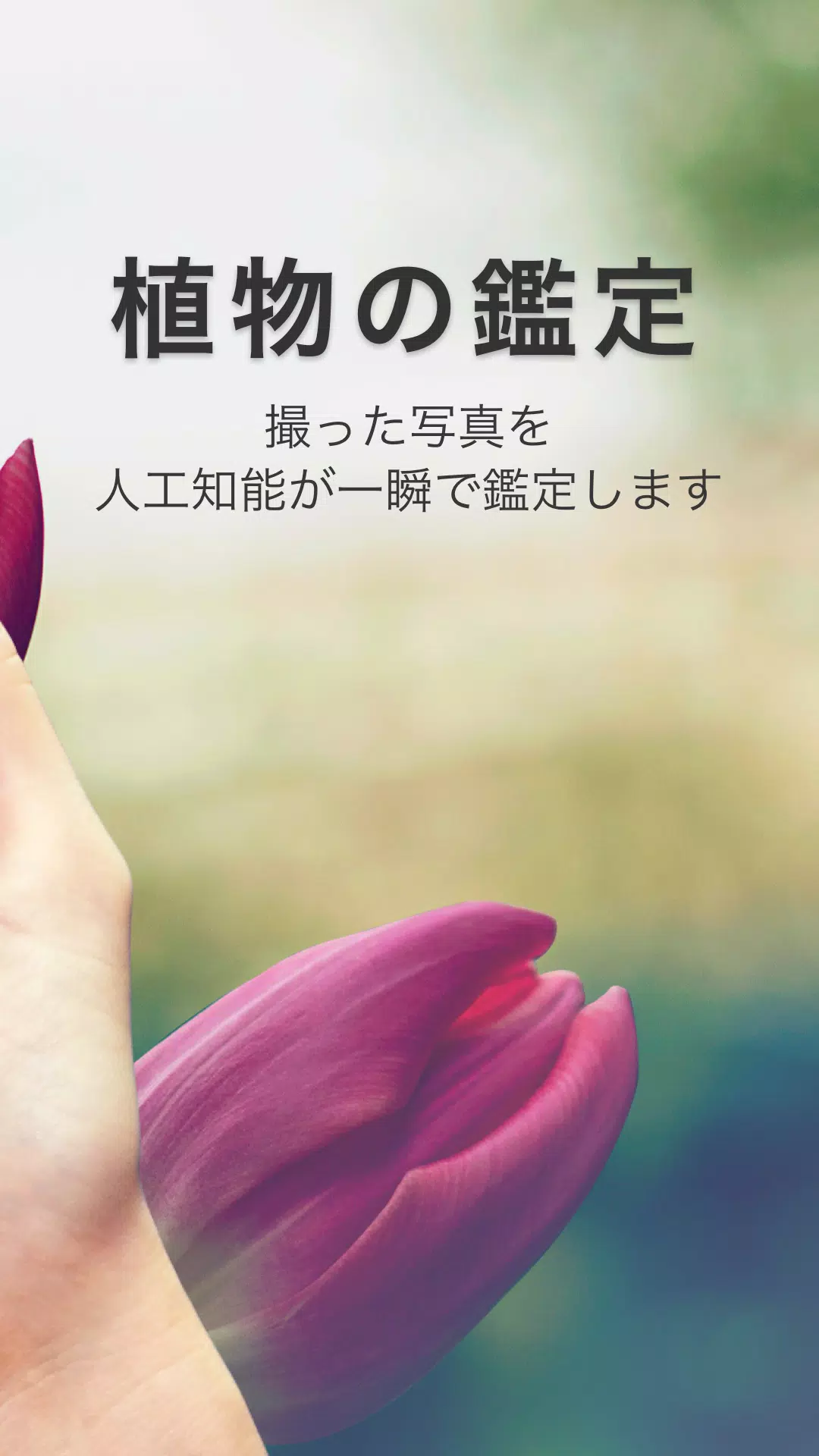 Picturethis Apk For Android Download Picturethis Apk For Android Download