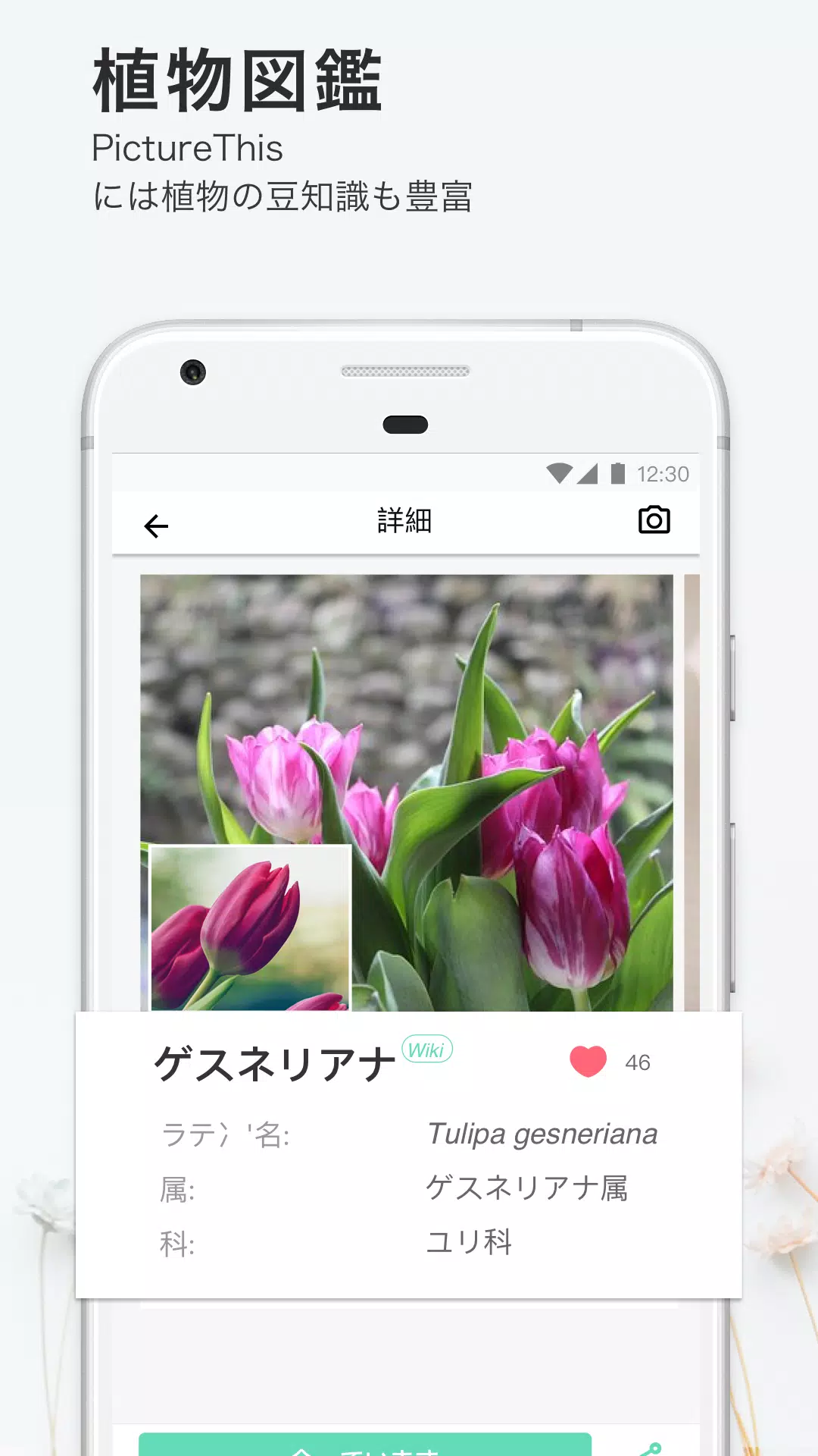 Picturethis Apk For Android Download Picturethis Apk For Android Download