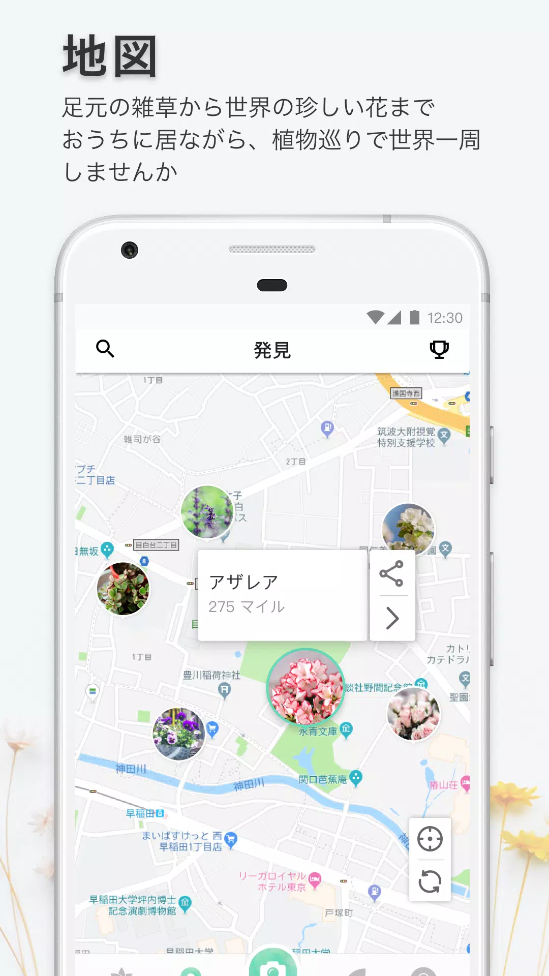 Picturethis Apk For Android Download Picturethis Apk For Android Download