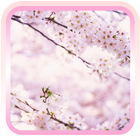 Sakura  Flower Free-icoon