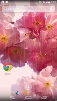 Sakura  Flower Free screenshot 2