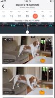 PET@HOME screenshot 2