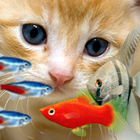 KITTY & FISH LIVE WALLPAPER#11 أيقونة