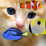 KITTY & FISH LIVE WALLPAPER(4) icône