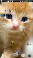 Котёнок и тропические рыбки#4 постер
