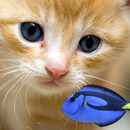 KITTY & FISH LIVE WALLPAPER(7) APK