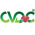 CVDC